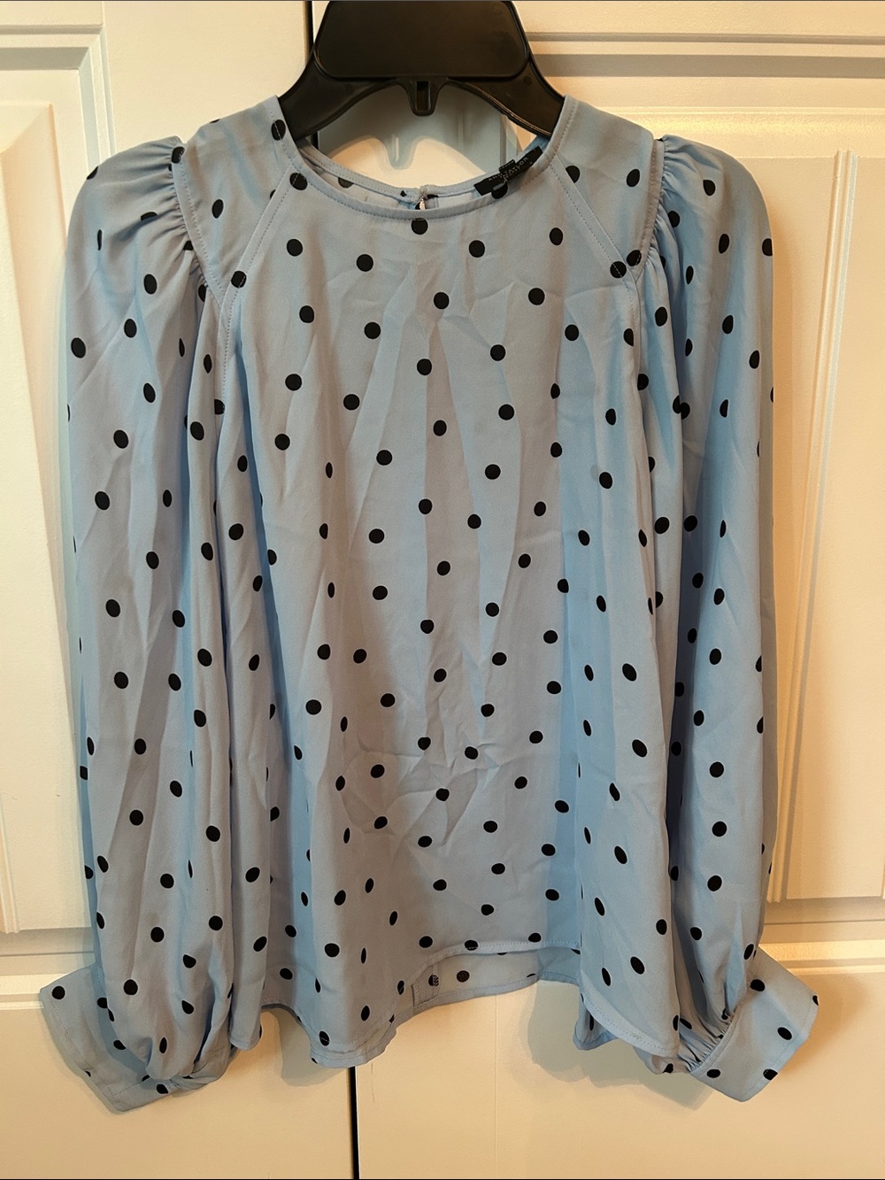 Ann Taylor Light Blue Polka Dot Long-Sleeve Blouse